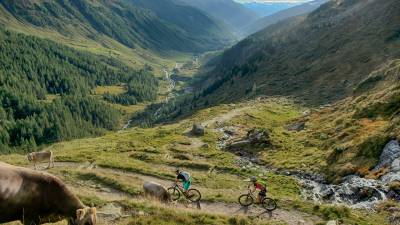 Mountainbiker vorbei an Almwiesen