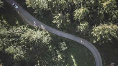 Vogelperspektive Wald