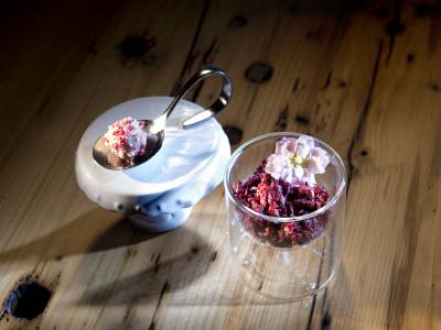 Gourmet Gericht im LUNARIS 1964